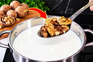 طرز تهیه پنیر گردویی یک صبحانه سالم و مقوی
