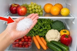 ترفند نگهداری سبزیجات و میوه در یخچال؛ جلوگیری از گندیدگی، پلاسیدگی و کپک زدن