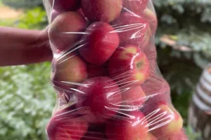 روش نگه داری از سیب برای مدت طولانی