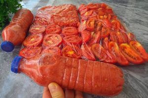 روش نگهداری گوجه فرنگی در فریزر؛ یک راهکار ساده برای تمام فصول