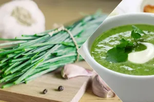 طرز تهیه سوپ آب تره/ یک غذای خوشمزه و سالم برای روزهای سرد