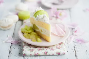 طرز تهیه دسر بیسکوییت و طالبی برای 4 تا 6 نفر