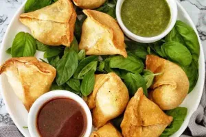 طرز تهیه سمبوسه با نان پیتا به روش فست فودی