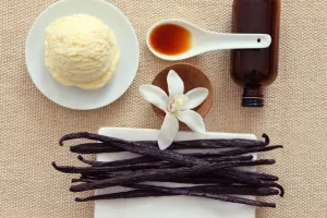 بررسی تفاوت ها، مزایا و معایب وانیل مایع با وانیل پودری