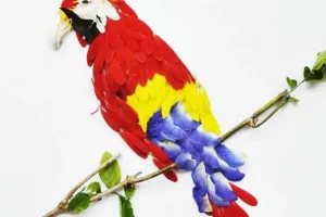ساخت کاردستی های زیبا با پر پرندگان برای دکور خانه