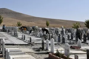 روز خادمان آرامستان چه روزی است ؟