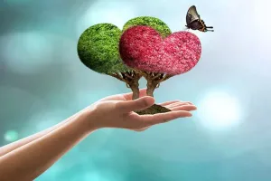 همینقدر صمیمانه روز جهانی نیکوکاران را تبریک بگو !