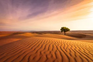 این عکس های کویر رو هیچ جایی ندیدی !