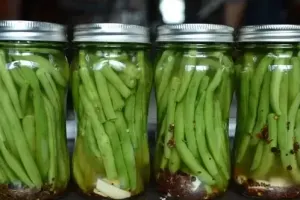 طرز تهیه 5 مدل ترشی لوبیا سبز به ساده ترین روش