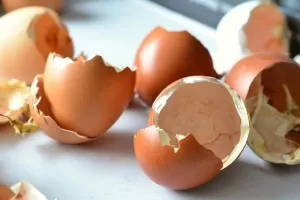 صدای خرد شدن پوسته تخم مرغ، باحال و شنیدنی !