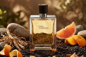بهترین عطر پاییزی مردانه؛ ۱۰ انتخاب خاص و جذاب برای روزهای سرد سال