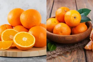 فرق بین پرتقال و نارنگی چیست؟ جستجویی خوشمزه در دنیای مرکبات