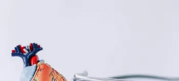 ۵ راز طلایی برای محافظت از قلب شما با متخصص برجسته قلب!