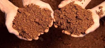 کدام خاک‌ ها نفوذپذیری بیشتری دارند؟ راهنمای شناخت خاک‌ ها