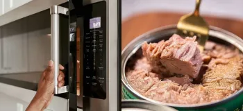 چگونه تن ماهی را در مایکروویو گرم کنیم ؟