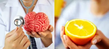 خواص پرتقال برای مغز / تقویت حافظه و بهبود عملکرد شناختی