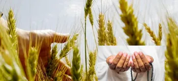 زکات باطنی چیست؟ پاکسازی روح و تزکیه نفس