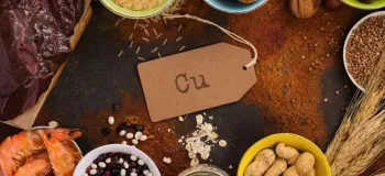غذاهای حاوی مس کدامند؟