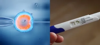 تفاوت های IVF و IUI / راهنمای کامل برای درمان ناباروری