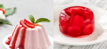 ژله با پودینگ چه فرقی دارد ؟