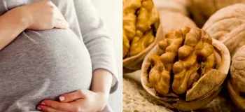 خواص گردو در دوران بارداری + نکات مهم و روش مصرف