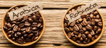 مقایسه میزان کافئین در قهوه عربیکا و روبوستا