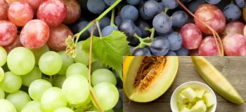آیا مصرف انگور و خربزه در زمان سرماخوردگی مضر است؟