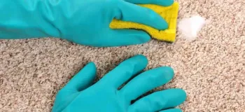 لکه گیری فرش با ماست روشی ساده و موثر