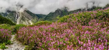 پارک ملی کلادو / بهشت طبیعی در هند