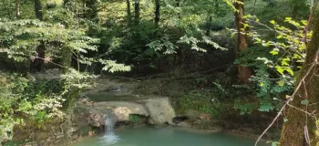 جنگل لفور مازندران راهنمای سفر به بهشتی بکر
