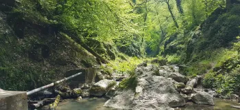 چشمه لال / جاذبه طبیعی بی نظیر در استان گلستان
