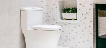 بهترین راهکار و نکات موثر برای پیشگیری و از بین بردن سوسک ها در توالت