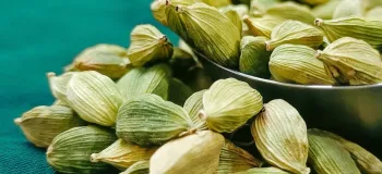 هل سبز و لاغری / خواص شگفت انگیز این ادویه برای کاهش وزن