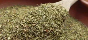 با گیاه تیول و مزایای آن برای بدن آشنا شوید