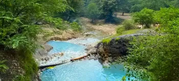 جنگل بلیران / بهشتی پنهان در مازندران