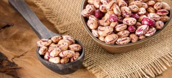 جلوگیری از زخم معده با مصرف لوبیا چیتی !