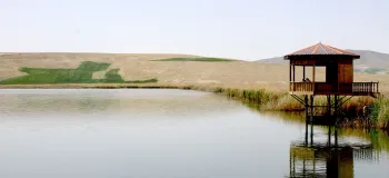 تالاب سولدوز / گنجینه طبیعی در ساحل دریاچه ارومیه