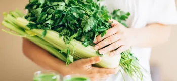 خواص کرفس برای کبد / یک داروی طبیعی برای سلامت کبد