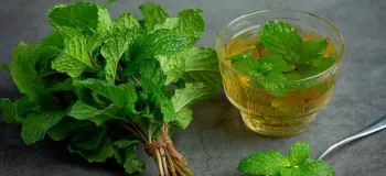 فواید سکنجبین برای کبد یک نوشیدنی سنتی با خواص درمانی