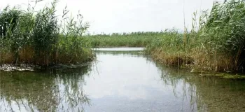سراب ماران؛ بهشت طبیعت گردی در کرمانشاه