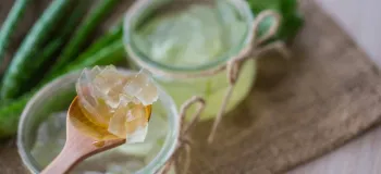 خواص درمانی آلوئه ورا برای معده و سیستم گوارش