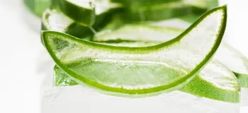 چطوری آلوئه ورا را پوست بکنیم ؟