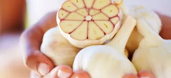 فواید بی نظیر سیر برای معده و سلامت گوارش