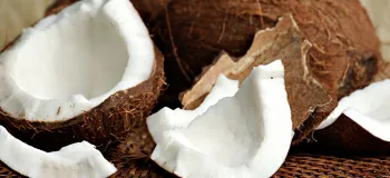 فواید بی نظیر نارگیل برای معده و سیستم گوارش