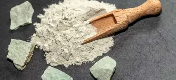 سنگ مرداب یا مردار سنگ چه کاربرد و ویژگی هایی دارد ؟