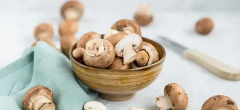 فواید قارچ برای معده و سلامت گوارش