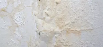 اصول پیشگیری از نفوذ رطوبت به دیوار و راهکارهای ترمیمی