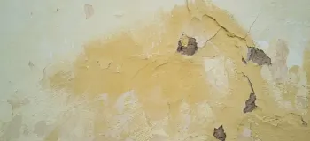 علت زرد شدن گچ دیوار پس از رنگ روغن