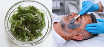 جلبک دریایی؛ اکسیر جوانی و شادابی پوست