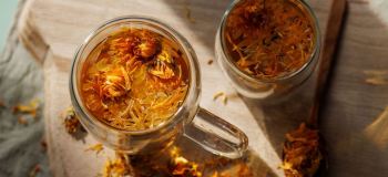 دمنوش گل همیشه بهار (کالاندولا)؛ ۱۲ خاصیت شگفت انگیز + طرز تهیه و موارد منع مصرف